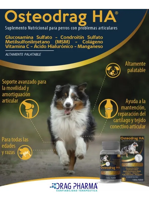OSTEODRAG HA - Imagen 2