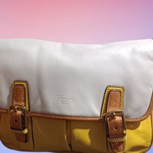 Bandolera Coach Park Colorblock Modelo F23383 Segunda Mano