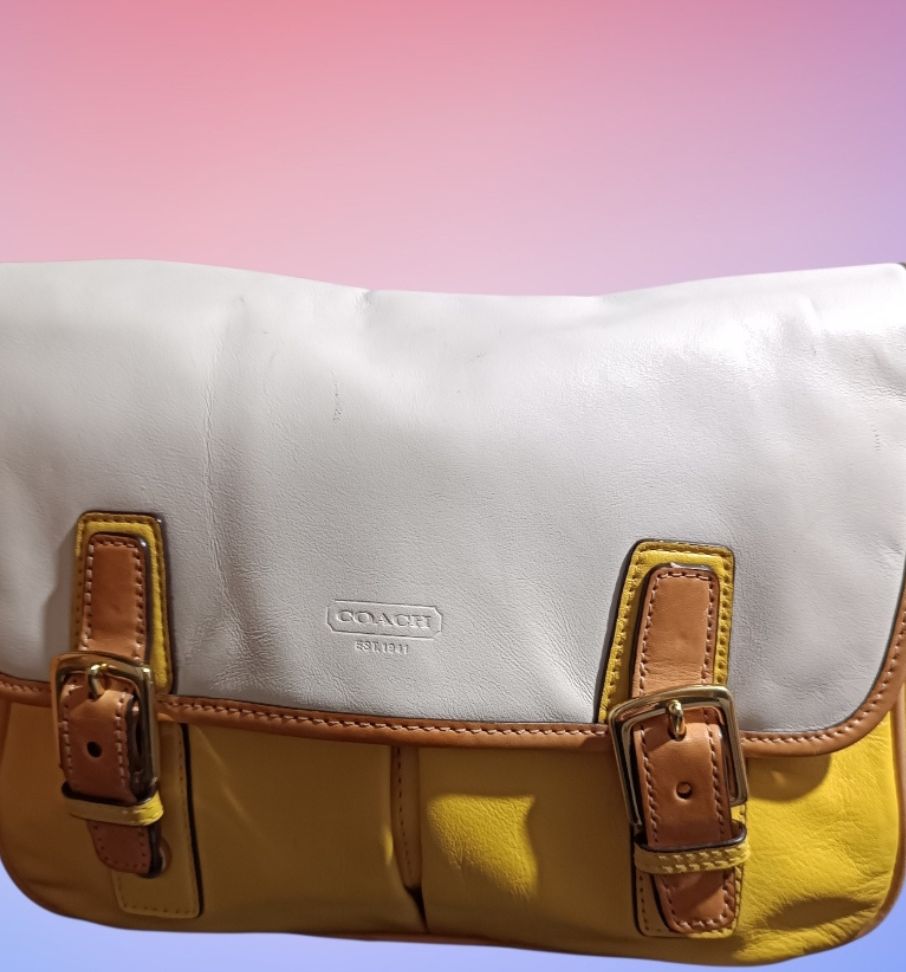 Bandolera Coach Park Colorblock Modelo F23383 Segunda Mano